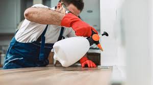 Best Residential Pest Control  in Fellsburg, PA